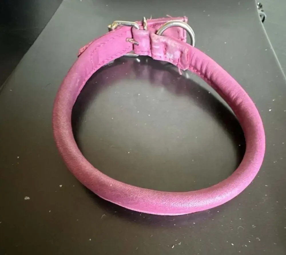 Pink dog collar